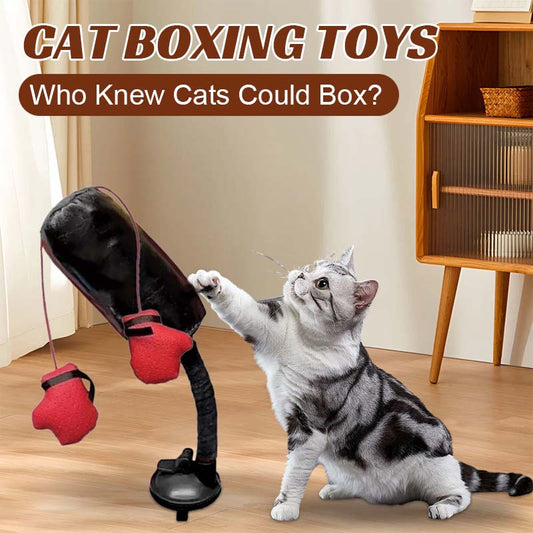 🐾Cat Boxing Toys🐾
