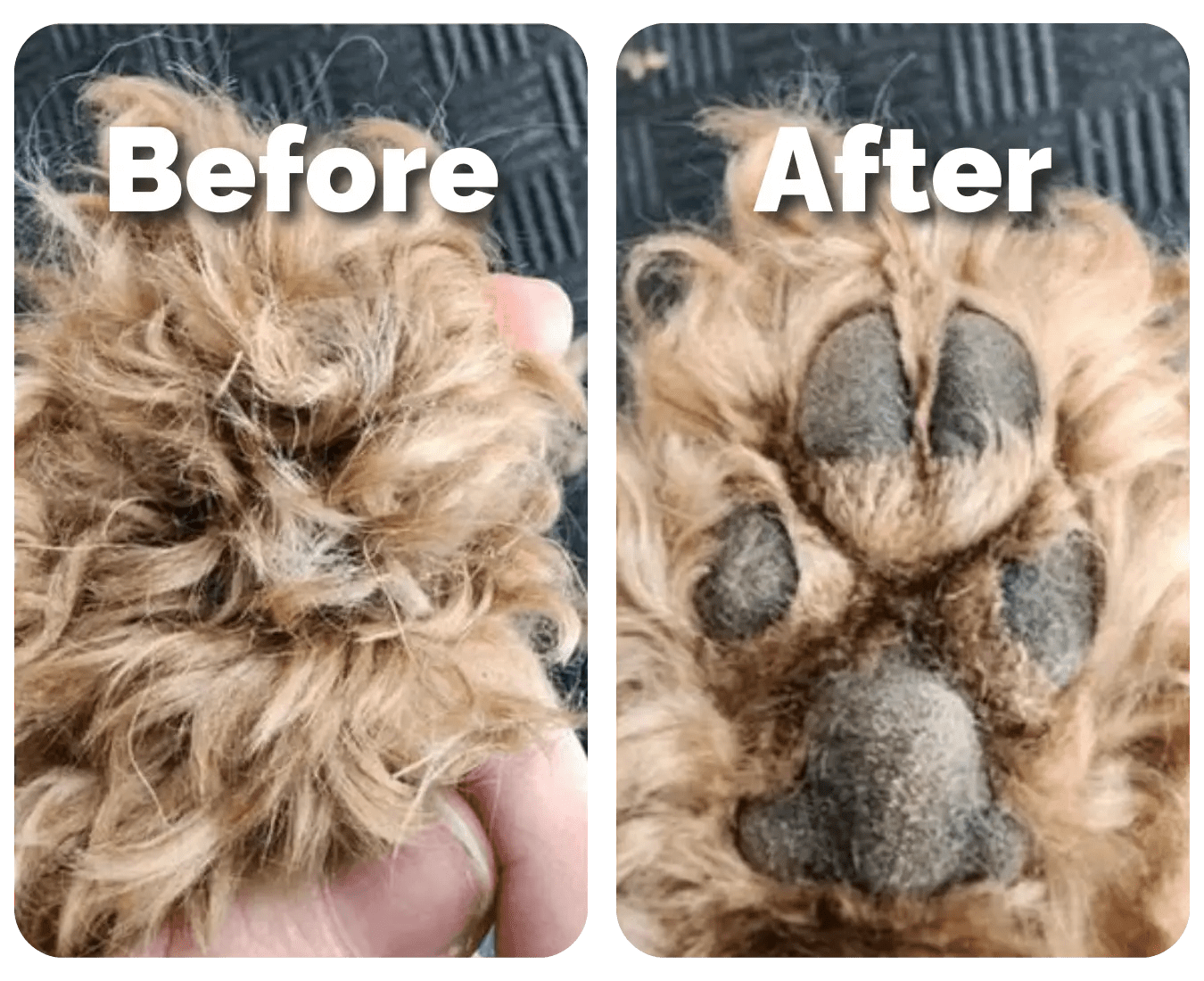 Ultimate Pet Paw Trimmer