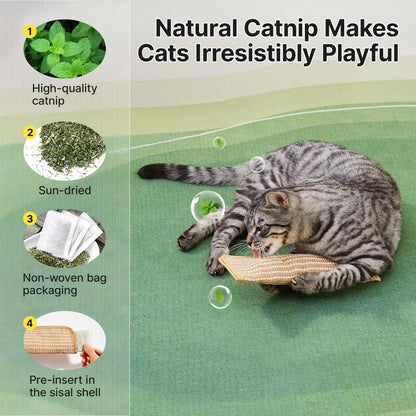 🐱 Interactive Catnip Chew Toy for Active Indoor Cats