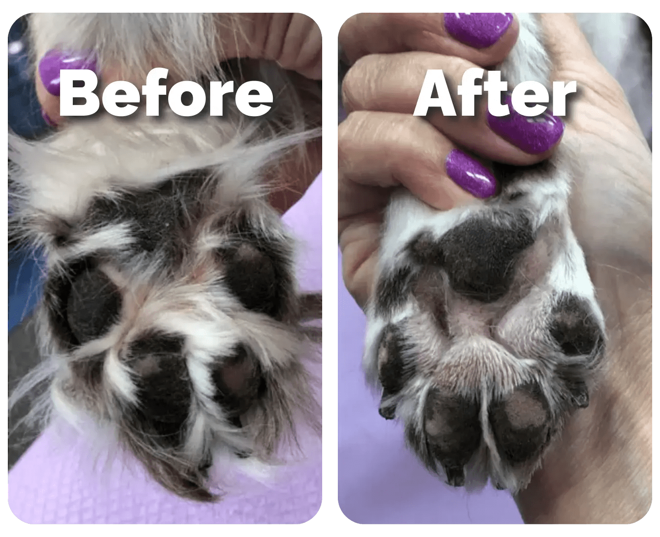 Ultimate Pet Paw Trimmer
