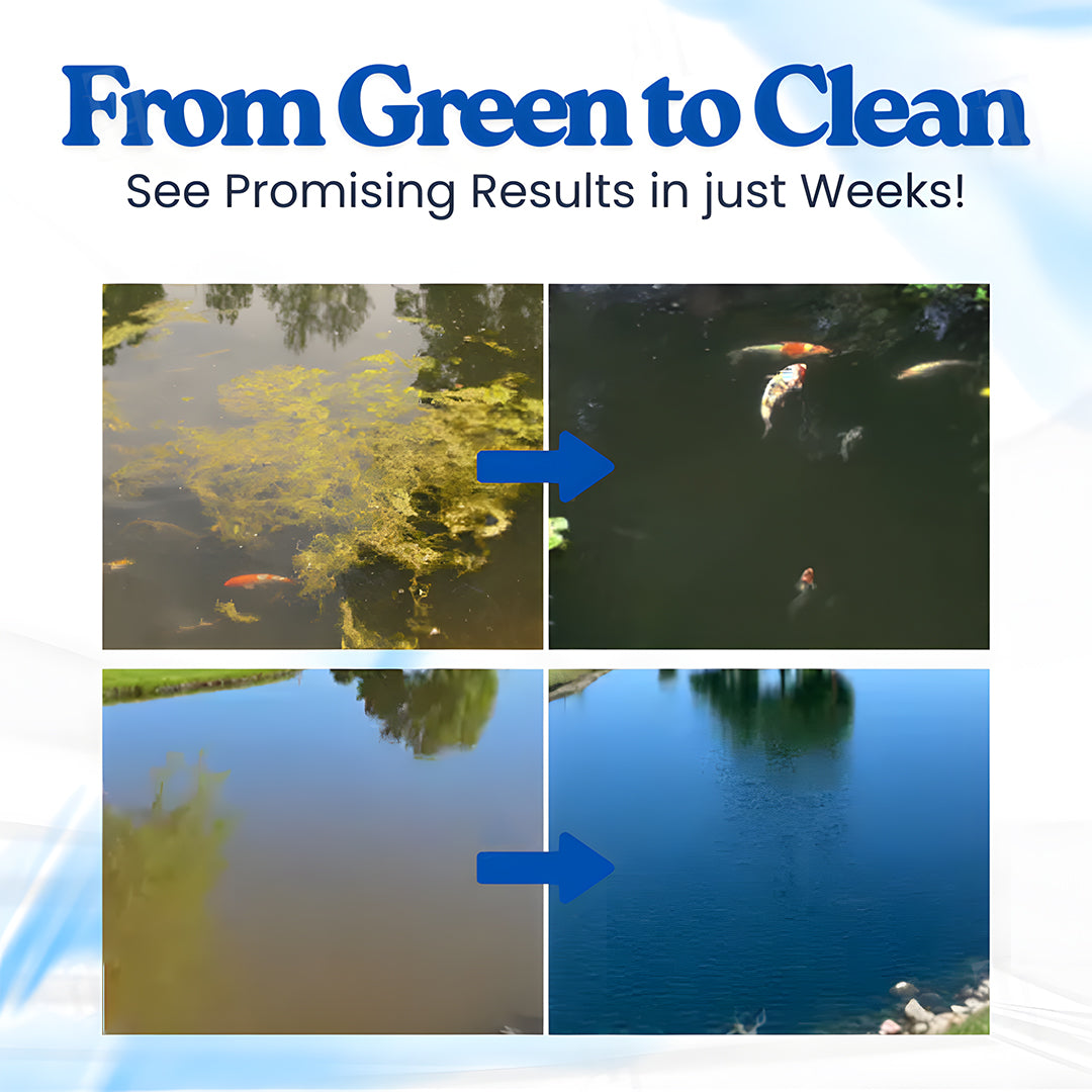 🌟 Seurico™ Aqua-Guardian – Crystal-Clear Water in 12 Hours, Healthier Fish!