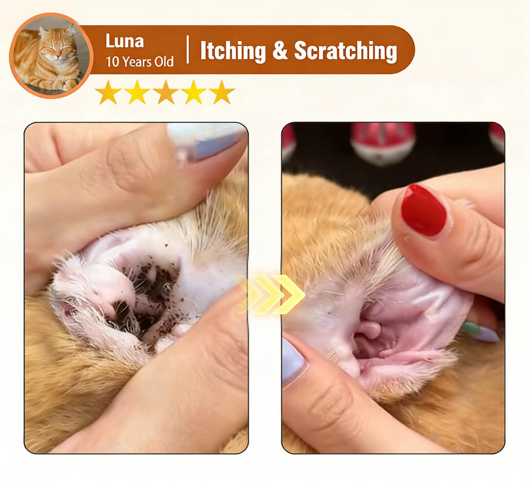 ODEIUN™ EnzyClean Pet Ear Cleaner (FDA Approved) - Advanced Enzymatic Treatment for Dog & Cat Ear Infections, Mites, Yeast & Wax Removal | Stops Itching & Odor Fast