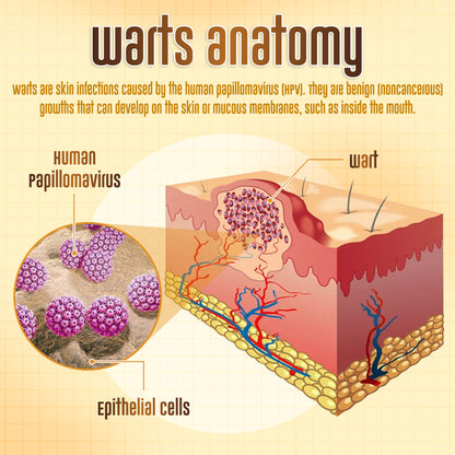 ✨ ODEIUN™ BeeDerm RX Cream – Natural Wart, Mole & Skin Tag Remover with Healing Bee Venom