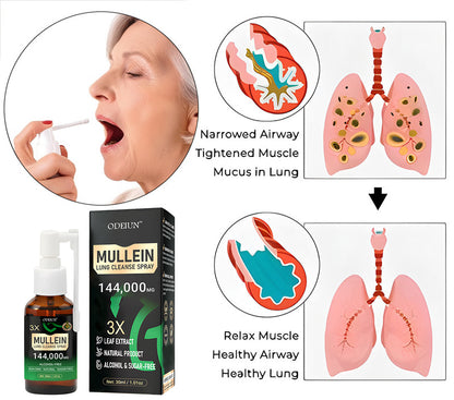 🌿 ODEIUN® 3X Mullein Lung Spray — Flush Out "Tar & Phlegm" for Smokers & COPD