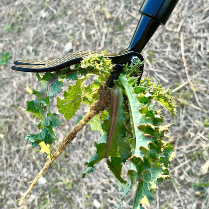 🌱 Bend-Free Weeding Is Here: The Last Tool You’ll Ever Need for a Perfect Lawn