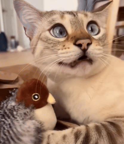 HyperFlap™ Cat Toy Flapping Bird