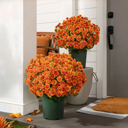 🌼 Flash Sale⚡Artificial Outdoor Sunset Mums – Brighten Up Your Outdoors, No Watering Needed!