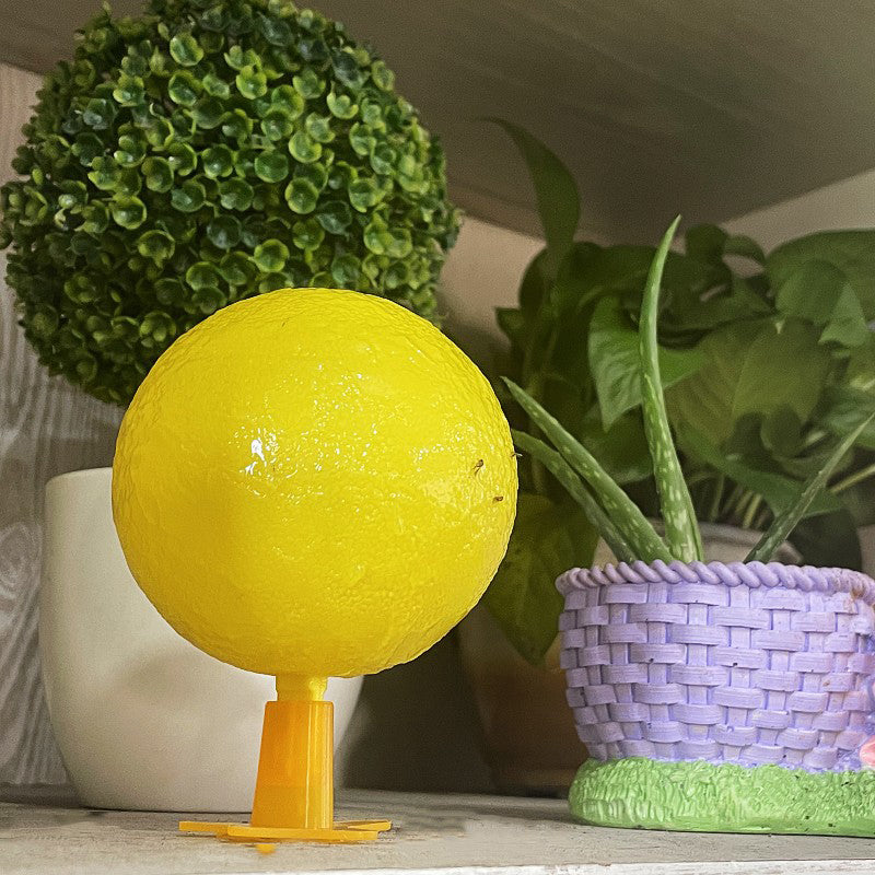 ✨2025 Hot Sale⌛🔥Sticky Fruit Fly Trap Ball with Stand & LED