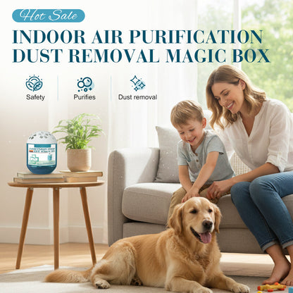 🔥2026 New Collection - Limited-Time Offer⏰Indoor Air Purification Dust Removal Magic Box