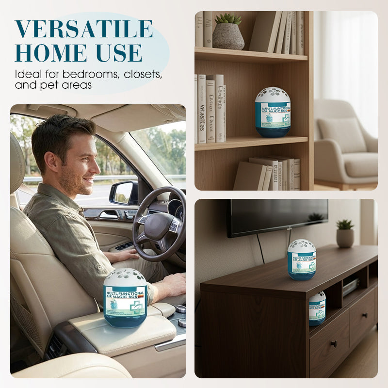 🔥2026 New Collection - Limited-Time Offer⏰Indoor Air Purification Dust Removal Magic Box